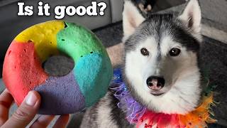 DIY Rainbow Donut Dog Treats! 🍩🌈 Siberian Huskies Bake & Taste Test!