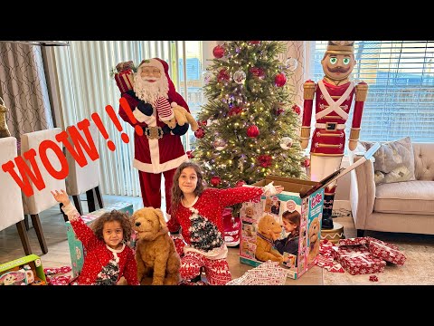 Christmas Morning Special Day Opening Presents | We got a Puppy - Vlog 2024