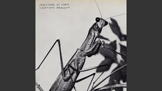 Another Beautiful Day