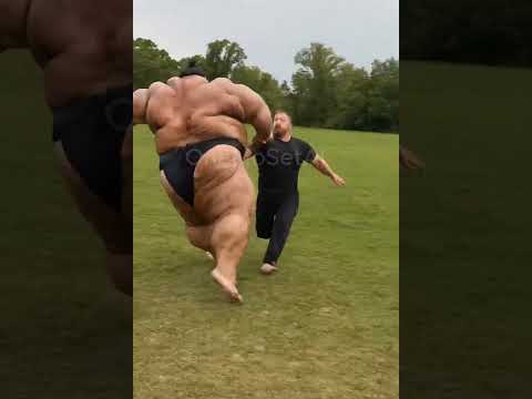 600 pounder sumo crushes man