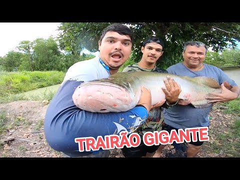 PEGAMOS UM GIGANTESCO PEIXE DA ÁGUA DOCE deu trabalho mas conseguimos