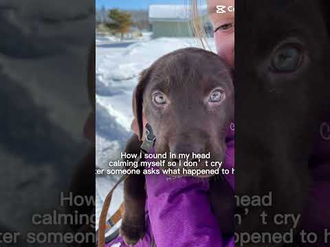 Yeah #horse #equestrianjourney #horseenthusiast #stopanimalabuse #equestrian #horsefan #horsegirl