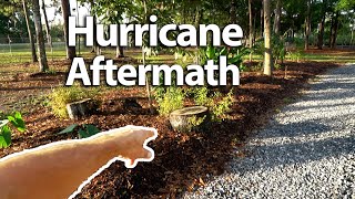 The last Hurricane Beat Our Farm + Nursery Up!