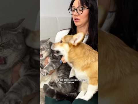 Жизнь научила меня ухаживать за питомцами