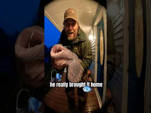 Caught on Camera: WHAT IS THAT?! 🎣🐟
