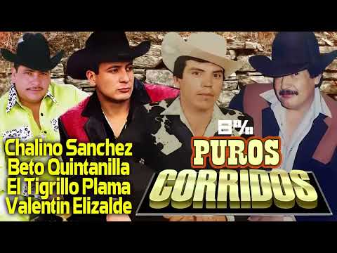 Beto Quintanilla, Chalino Sanchez, Valentin Elizalde, El Tigrillo Palma💥Mix Exitos Puros Corridos