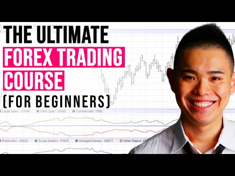 forex youtube course)