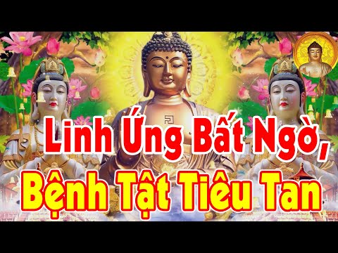Nhanh Chóng Hết Bệnh Tật Khổ Đau Khi Chưa Đầy 1 Phút Nghe Sám Hối Oan Mấy Cũng Giải Tiền Về Ầm Ầm
