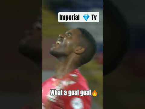 "Madagascar Magic 🌍🔥 Long Range Screamer by Fenohasina". #caf#viral#shortvideo#chan2024