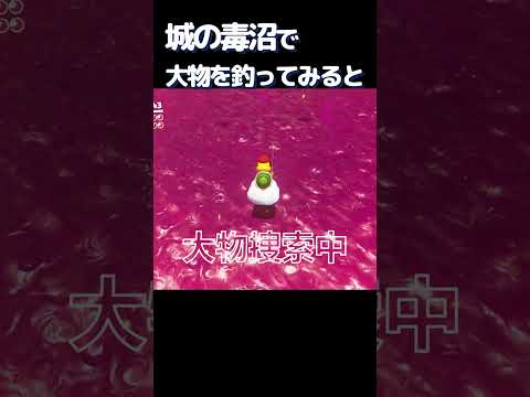 城の毒沼で大物を釣ってみると、、【マリオオデッセイ】#マリオ #マリオオデッセイ #スーパーマリオオデッセイ