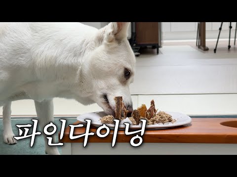 흑백요리사에 심취한 집사가 이상한 요리를 해줬다