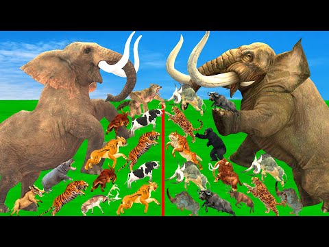 Woolly Mammoth Vs Elephant Animal Epic Battle - Prehistoric Mammals VS Modern Mammals Animal Revolt