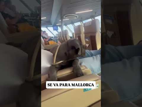 Se va para mallorca #ferri