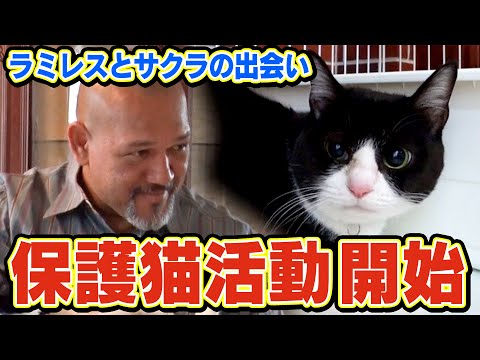 【保護猫活動】サンシャイン池崎さんの１番弟子ラミレスさんの元に新たなネコの子が・・・