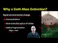 Ecosystem Impact and Conservation Strategies
