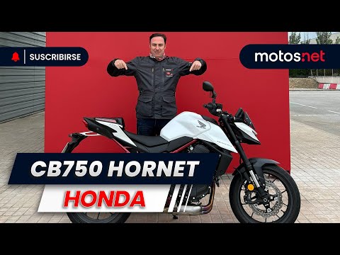 🐝 Honda CB 750 Hornet 2025 / Presentación / 4K / motos.net