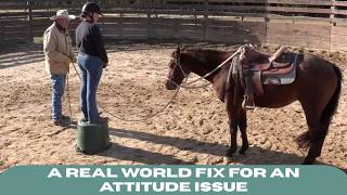 A Real World Fix for an Attitude Issue (Episode 301) - Herm Gailey: A Lifetime with Horses