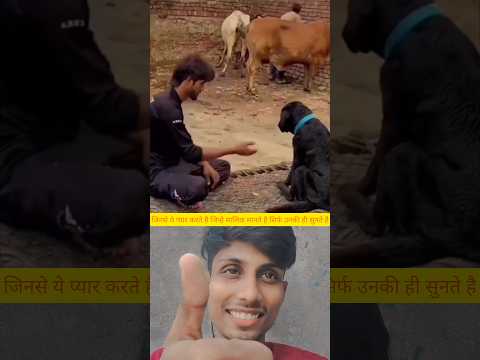 मालिक के प्रति वफादार