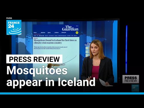 YouTube video thumbnail: Mosquitoes Appear in Iceland as Country Warms at Record Pace
