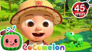 Down by the Pond | Cocomelon 🍉 | Kids Learning Songs! |  Sing Along Nursery Rhymes 🎶