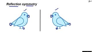 Reflexive symmetry