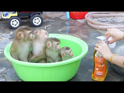 Four Little Sit In Bathtube Waiting Mom Clean After Playing