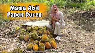 Mama Abil Panen Durian