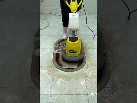 Fighting the Stains – "Using special tools and solutions to remove stubborn spots."
