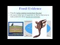Exploring Evidence of Evolution