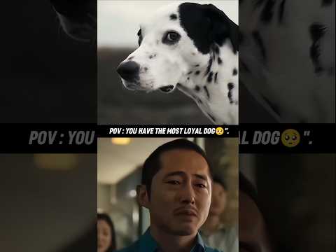 Dogs will never betray you😭❤️‍🩹 #dog #doglover #dogshorts #shorts