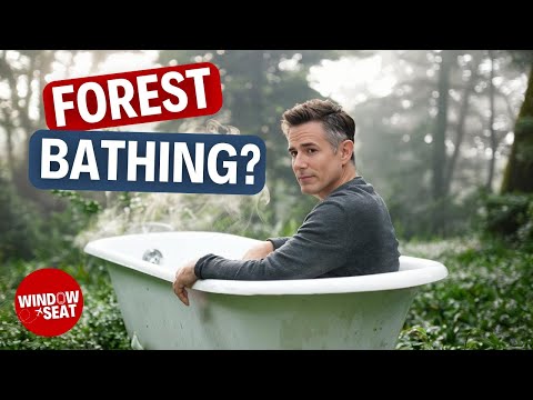 We Tried FOREST BATHING Here's What Happened