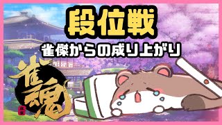 オコジョの成り上がり39　#雀魂　#段位戦