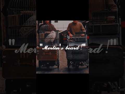 the three worlds #harrypotter #percyjackson #narnia