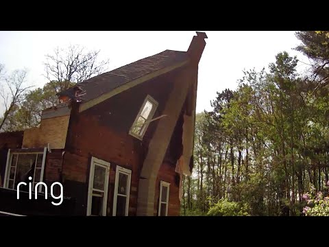 DIY House Demolition Caught on Ring! | RingTV