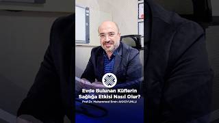 Evdeki Küf Sağlığı Nasıl Etkiler?