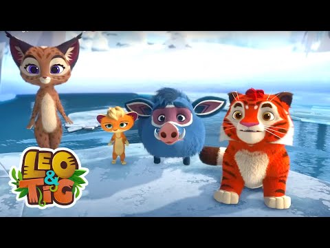 Povo do sol | Leo & Tig | Desenhos infantil 🐯🦁