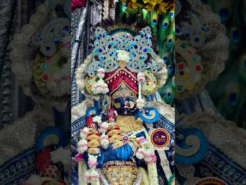 जय हो श्री बांकेबिहारी लाल की 🙏🏼🙏❤️❤️✨️#treanding #short#love #viral#bankebihari