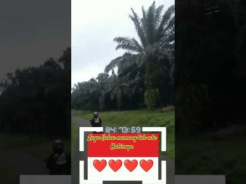 Ketika Hati Bicara Lewat Lagu | Lagu Galau Indonesia & Sedih Internasional”#Shorts