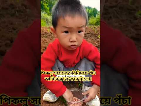 পিকলু সসেজের বিনিময়ে পঁচা আন্টির কাজ করে দিলো। Piklu Baby.#shortsfeed #shorts #shortvideo