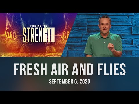 Finding the Strength: Fresh Air and Flies 9/06/20