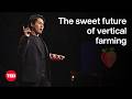 Vertical Farming and Japanese Strawberries