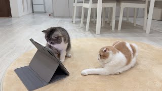動画サムネイル