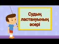 Видео Урок Квиз