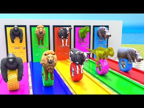 Long Slide Game With Cow Lion Gorilla Hippopotamus Dinosaur - 3d Animal Game - Funny 3d Animals