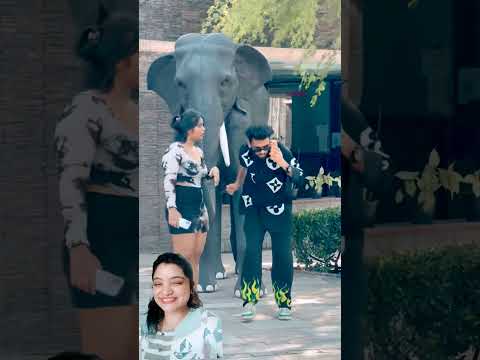 किसको उठा लिया 🤣🤭 mini wood toy- woodworking art skill / wood/ hand crafts/ #shorts @MrBeast