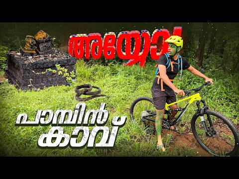 പാമ്പിന്റെ മാളത്തിൽ കയറിയപ്പോൾ😳💀🥵Urban Freeride Thrissur|Joyal Joshy