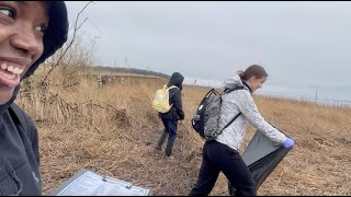 A trip to the Humber