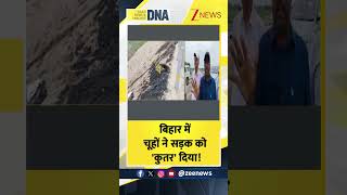 DNA:बिहार में चूहों ने सड़क को 'कुतर' दिया! #bihar #mouse #highway #dnawithrahulsinha #shorts