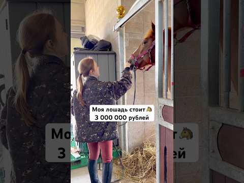 Моя лошадь стоит 3 миллиона #лошади #животные