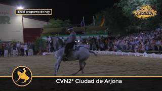 Parada a Raya 337